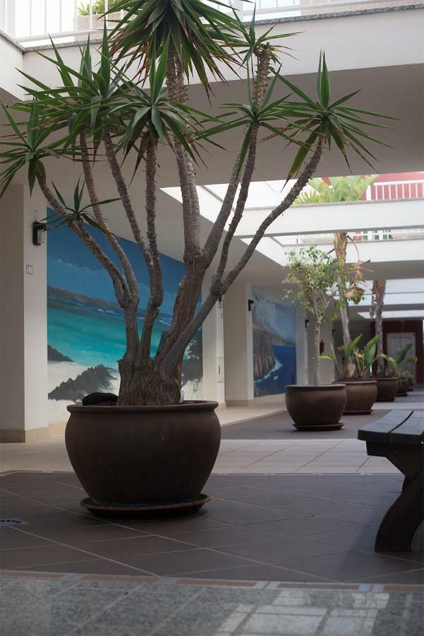 Cotillo Sea Home Dış mekan fotoğraf